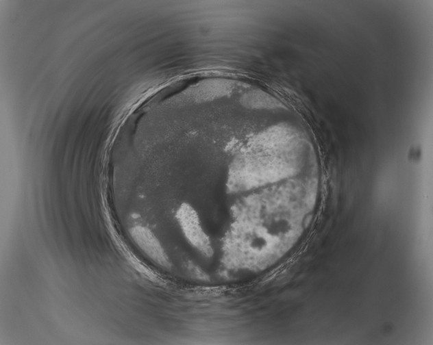 X0000115320049200911301608