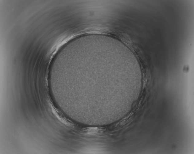 X0000115320050200911301608