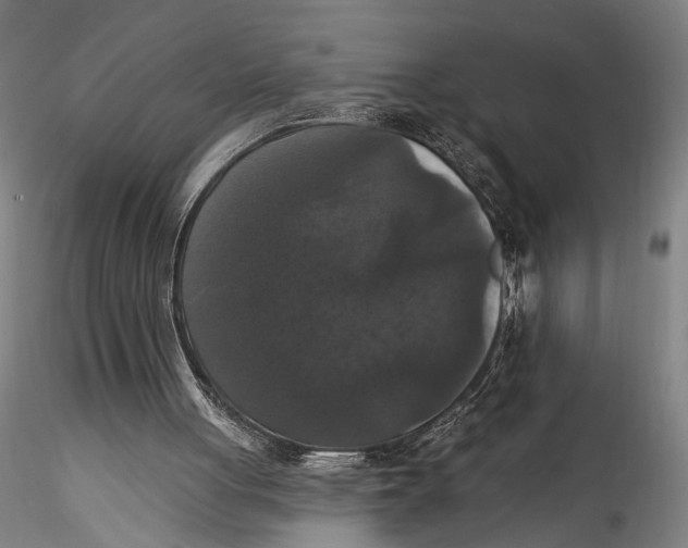 X0000115320051200911301608