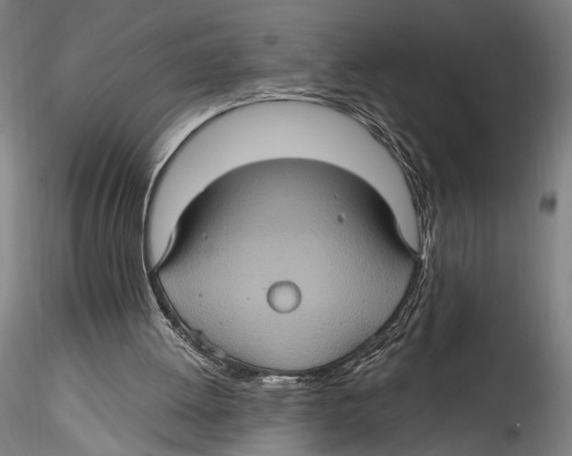 X0000115320052200911301608