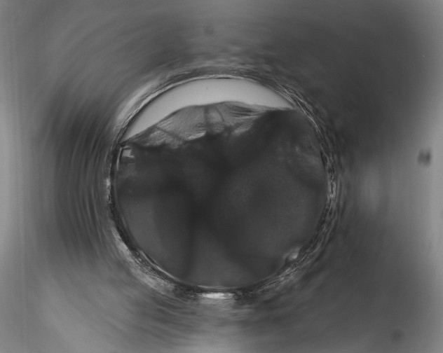 X0000115320053200911301608