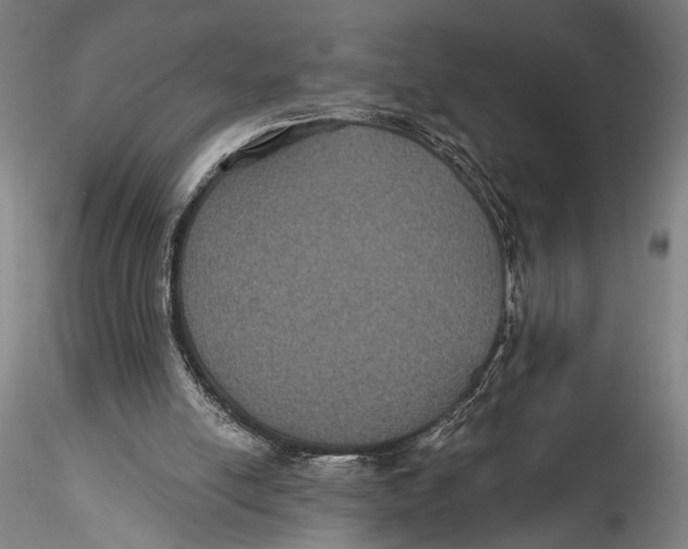 X0000115320054200911301608