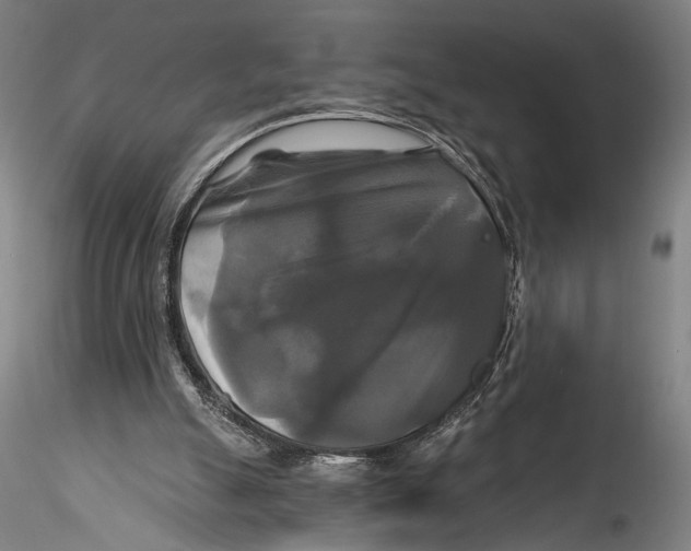 X0000115320055200911301608