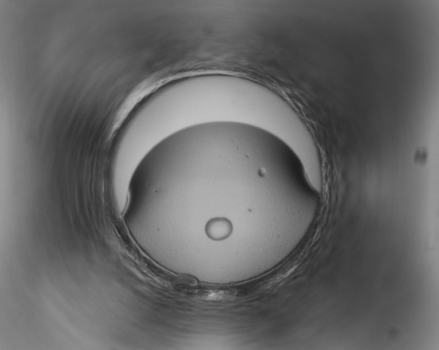 X0000115320056200911301608