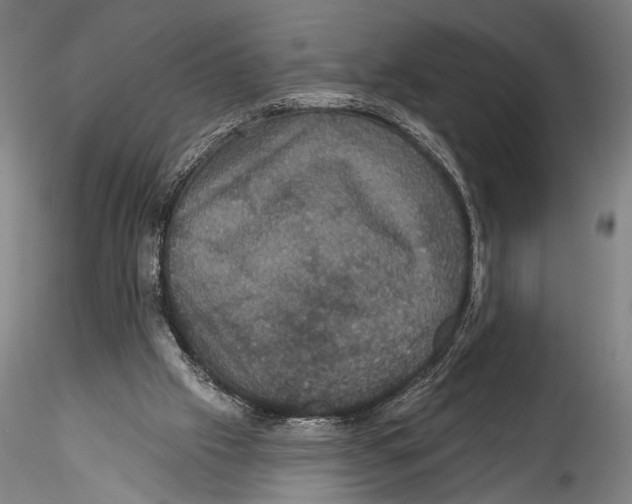 X0000115320057200911301608