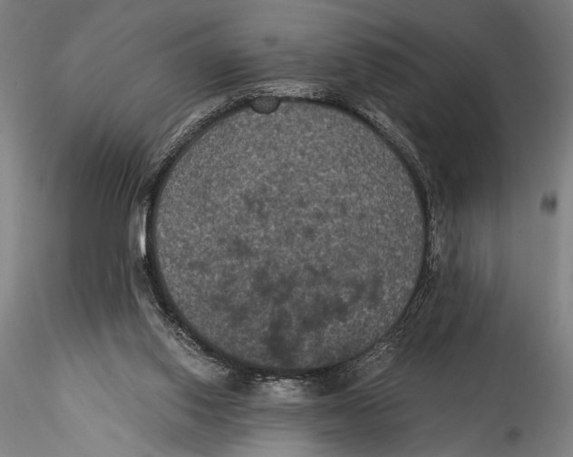 X0000115320062200911301608