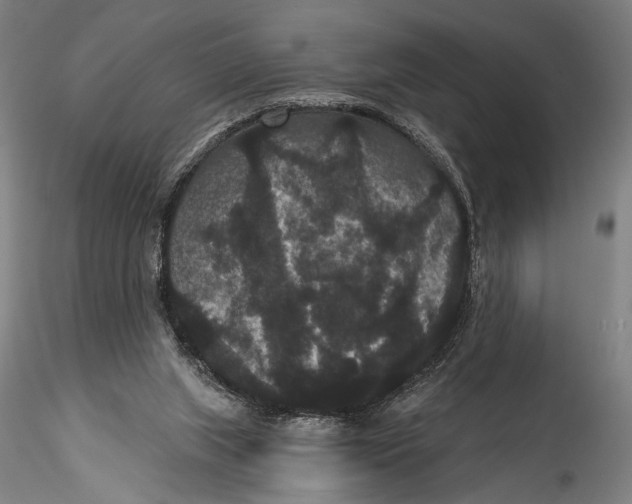 X0000115320063200911301608