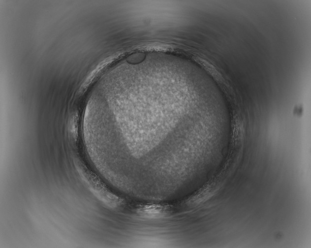 X0000115320064200911301608