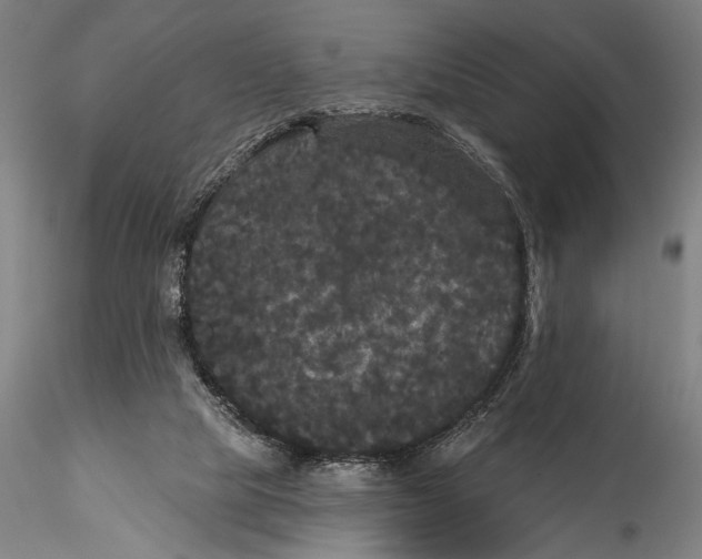 X0000115320065200911301608