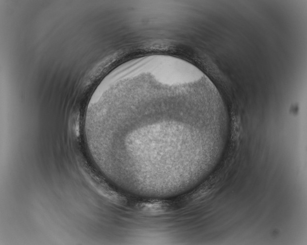 X0000115320068200911301608