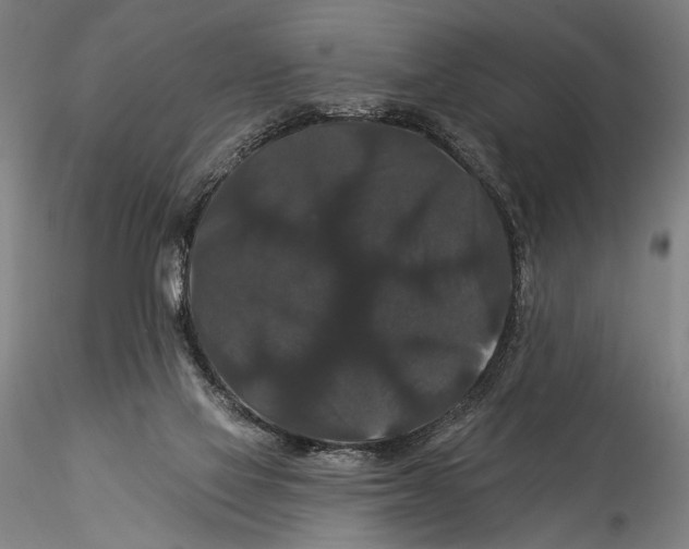 X0000115320069200911301608