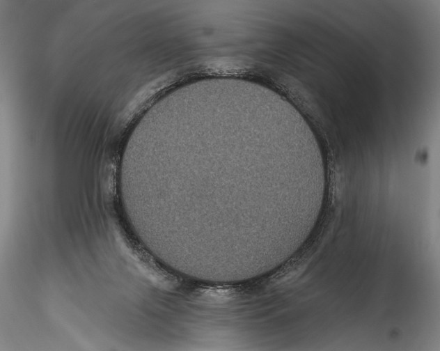 X0000115320071200911301608