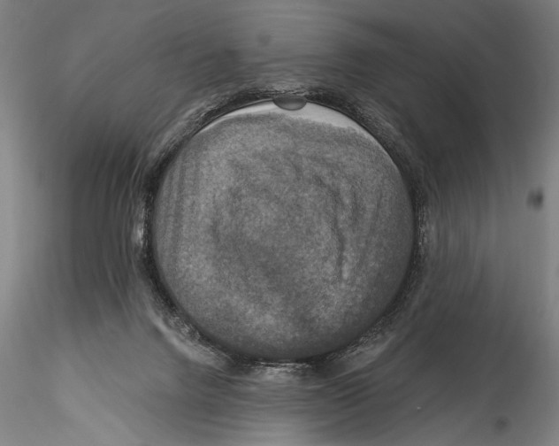 X0000115320072200911301608