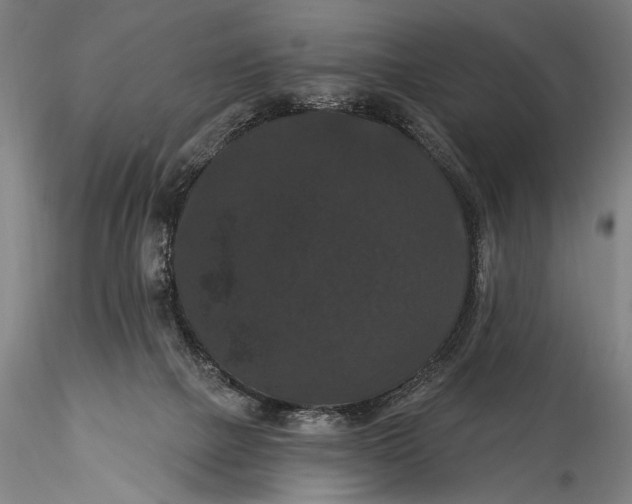 X0000115320073200911301608