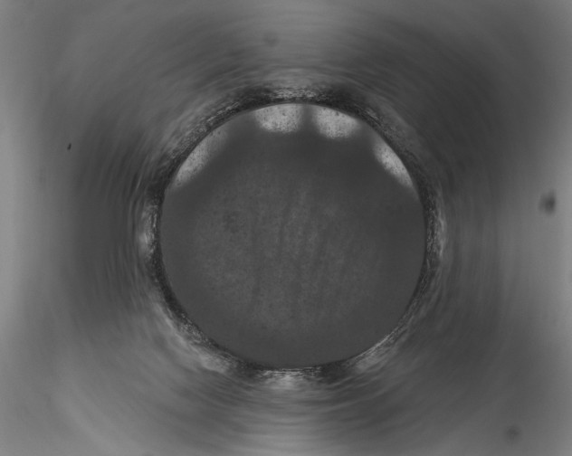 X0000115320074200911301608