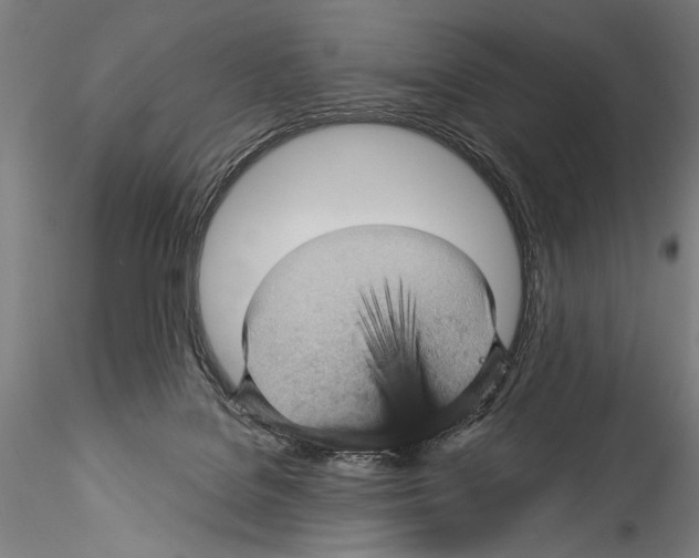 X0000115320076200911301608