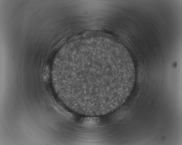 X0000115320077200911301608