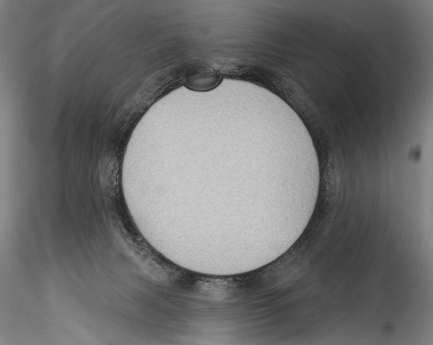 X0000115320079200911301608