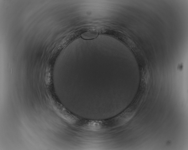 X0000115320080200911301608