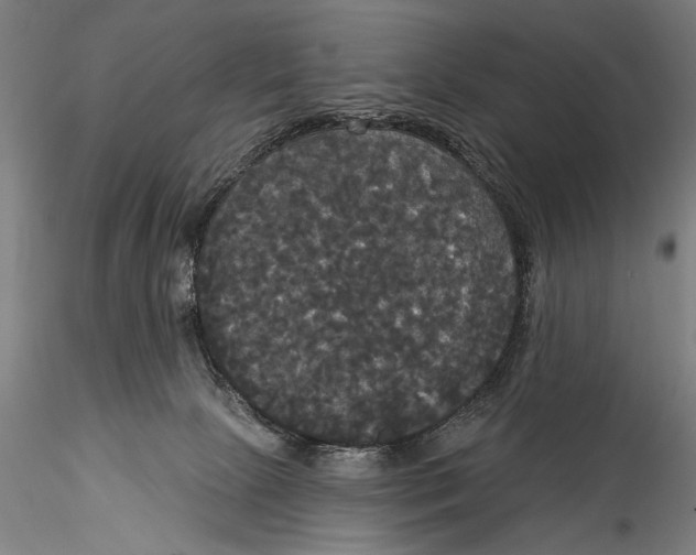 X0000115320081200911301608