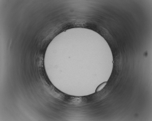 X0000115320083200911301608