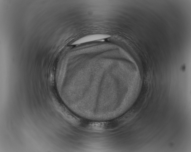 X0000115320084200911301608