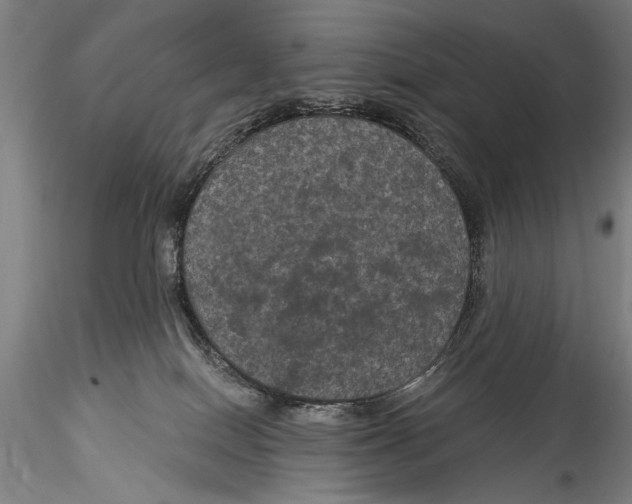 X0000115320086200911301608