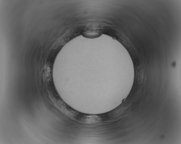 X0000115320087200911301608