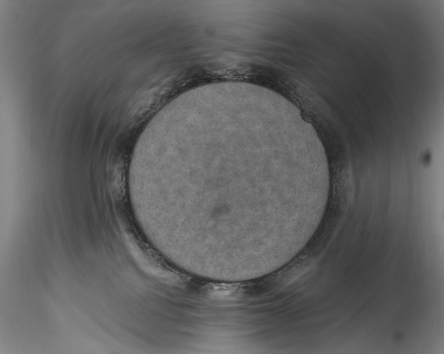 X0000115320088200911301608