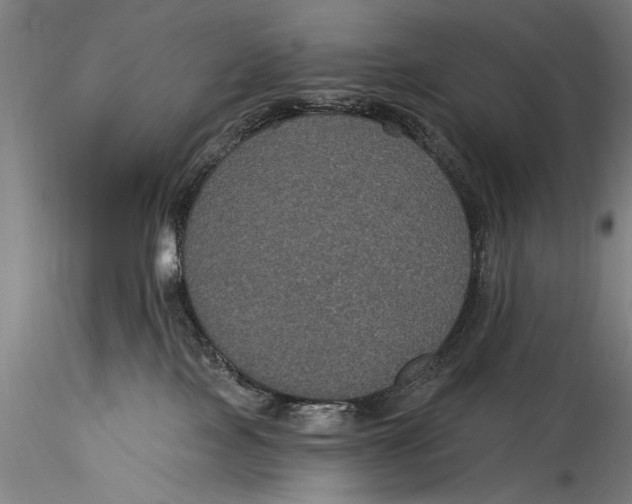 X0000115320089200911301608