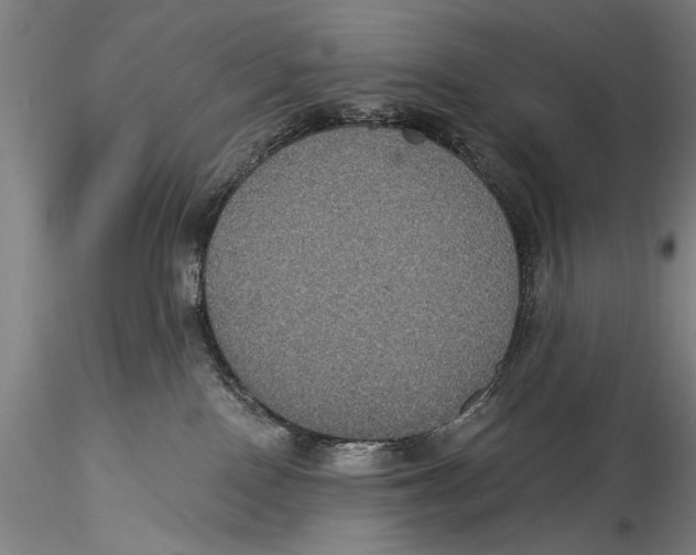 X0000115320090200911301608