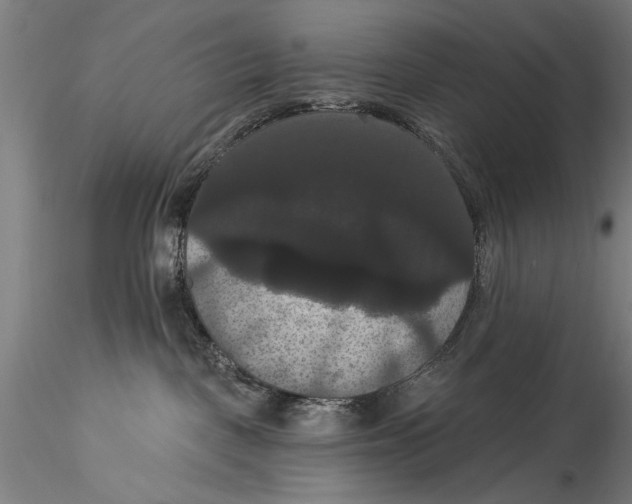 X0000115320093200911301608