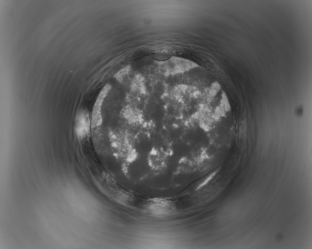 X0000115320095200911301608