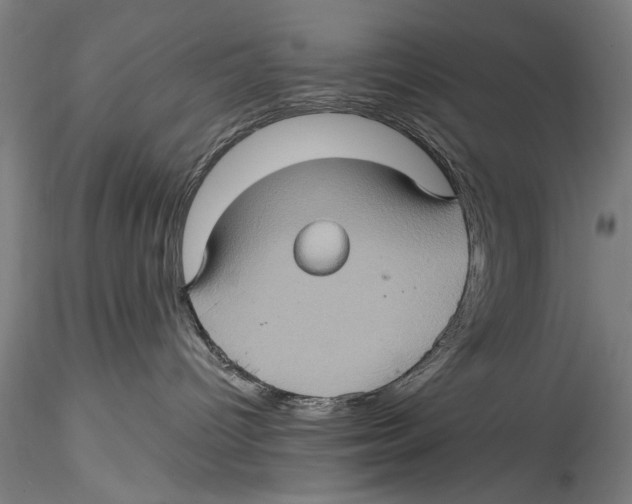 X0000115320096200911301608