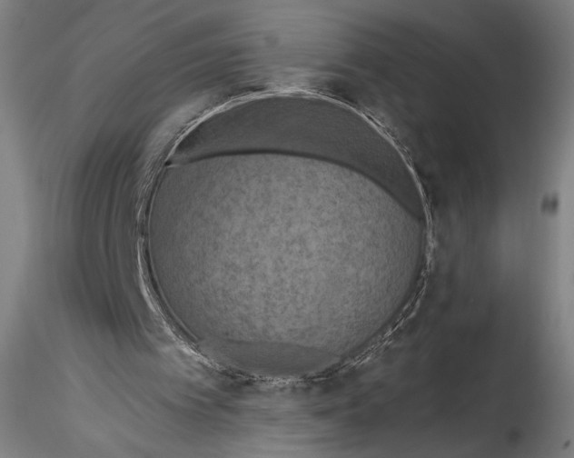 X0000115320097200911301608