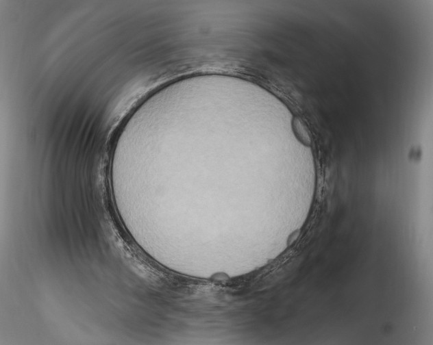 X0000115320098200911301607