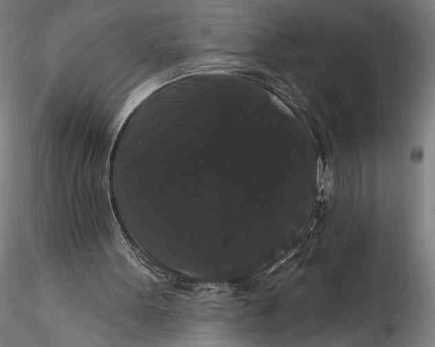 X0000115320099200911301607