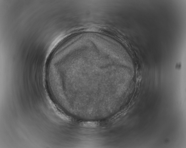 X0000115320102200911301607