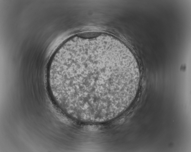 X0000115320103200911301607