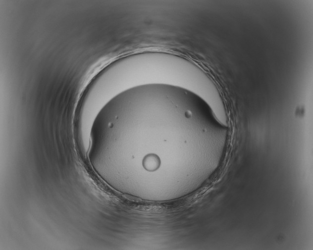 X0000115320104200911301607