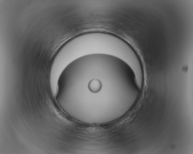 X0000115320105200911301607