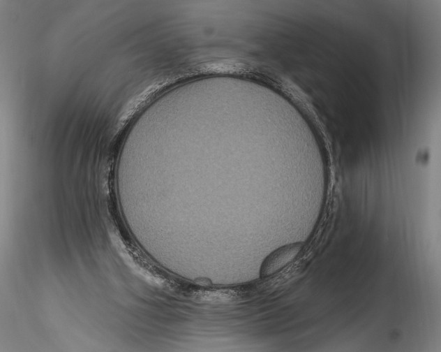 X0000115320106200911301607