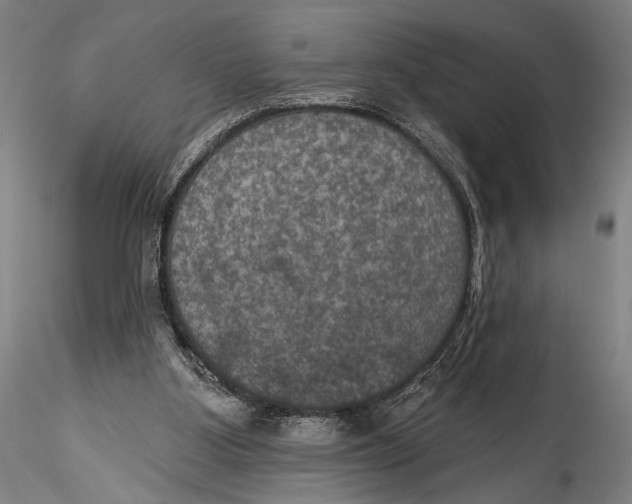 X0000115320107200911301607