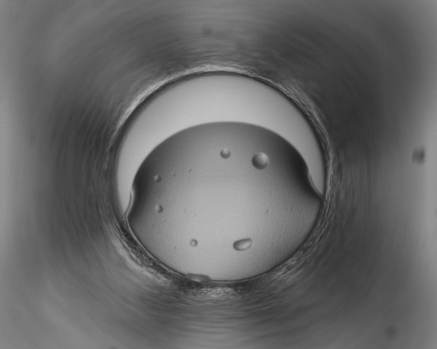 X0000115320108200911301607