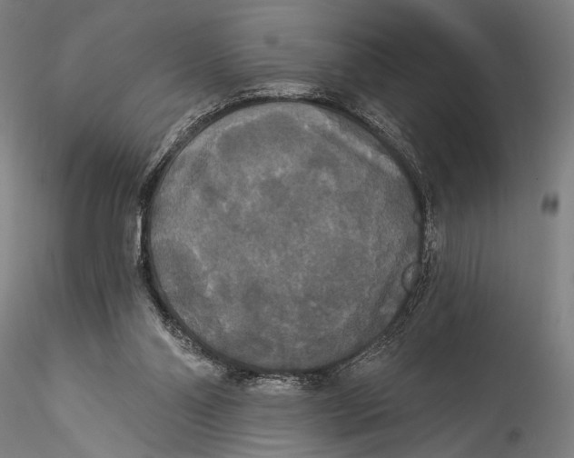 X0000115320110200911301607