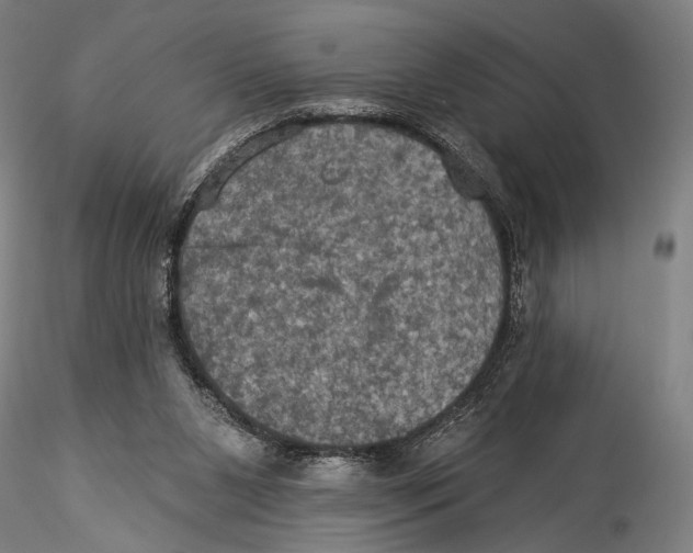 X0000115320111200911301607