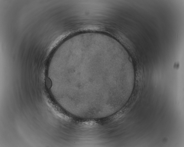 X0000115320112200911301607