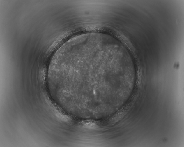 X0000115320113200911301607