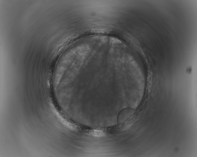 X0000115320114200911301607