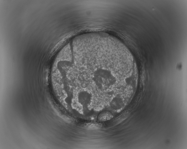 X0000115320115200911301607